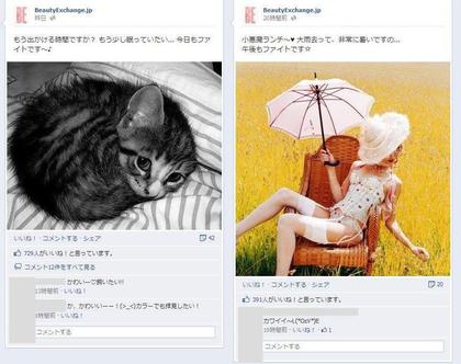 facebook 活用 事例 プロモーション BeautyExchange.jp 投稿1