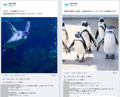  Facebook 活用 事例 プロモーション　京都水族館/オリックス水族館株式会社