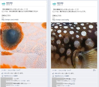 Facebook 活用 事例 プロモーション　京都水族館/オリックス水族館株式会社