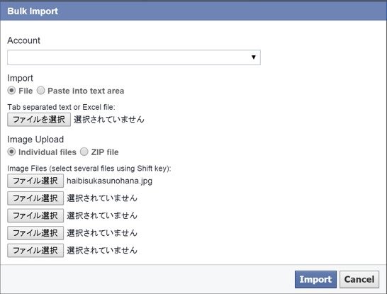 FB広告　パワーエディタ　インポート確認画面