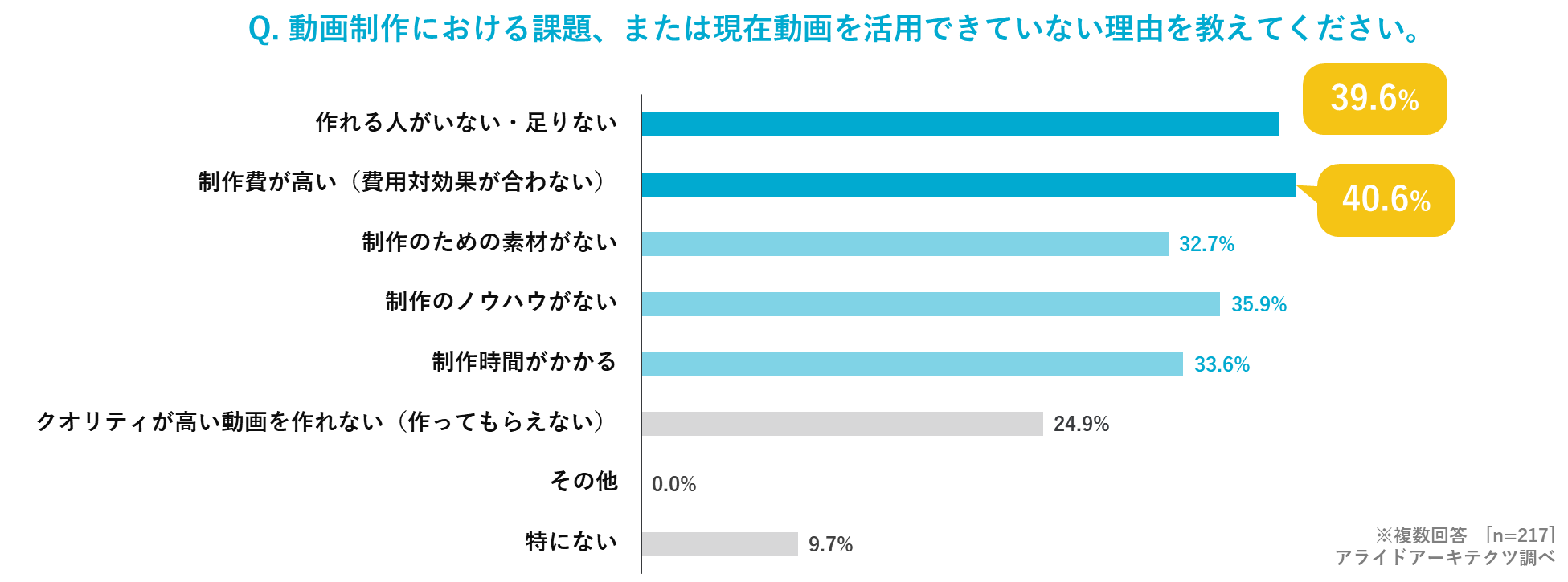 動画政策における課題